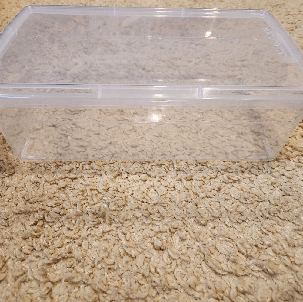 ***BUNDLE, CONTAINER STORE SHOE BOX***